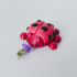 Ladybug Flexi image