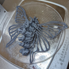 Picture of print of Bone Moth