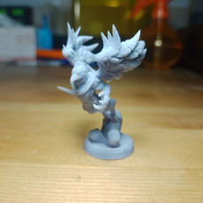 Picture of print of Wereraven B