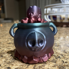 Picture of print of Octo Spinner