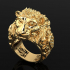 Lion Ring R2 image