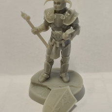 Picture of print of Warcraft 2 Paladin fan work