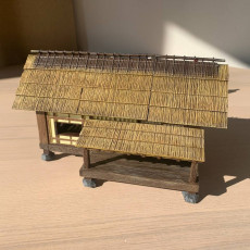 Picture of print of Japanese Farmer Village House #5 (assembly guide included)