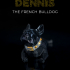 Dennis, the French Bulldog image