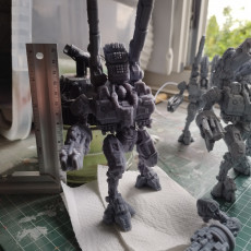 Picture of print of Heavy Weapons Mech