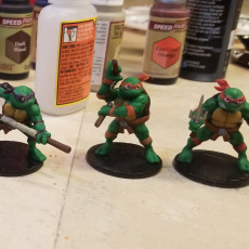 Picture of print of TMNT Buddies Set 1