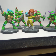 Picture of print of TMNT Buddies Set 1