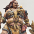 Big barbarian females set 6 miniatures 32mm pre-supported print image
