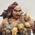 Big barbarian females set 6 miniatures 32mm pre-supported print image