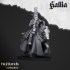 Knights of Gallia - Highlands Miniatures image