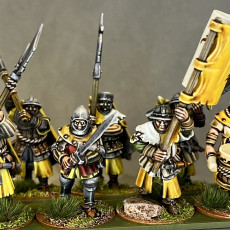 Picture of print of Gallia Men at Arms - Highlands Miniatures