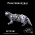 River Otter - 004-2-024 image