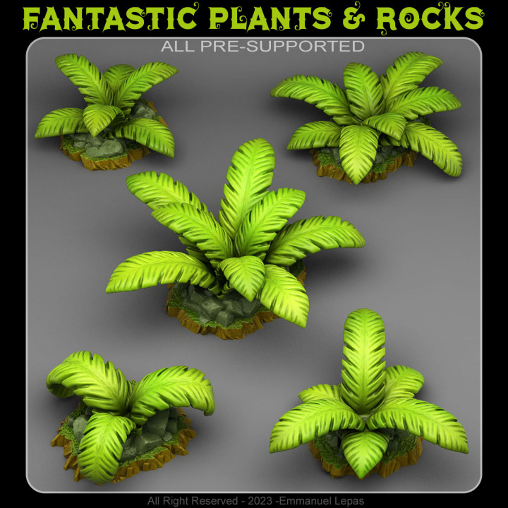720X720-tropical-island-plants.jpg