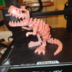 Picture of print of Public Release: Flexi Factory Skeleton T-Rex