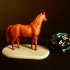 Horse Set image