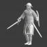 Medieval Infantryman advancing image