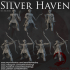 Dark Realms - Silver Haven - Elf Warriors image
