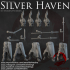 Dark Realms - Silver Haven - Elf Warriors image