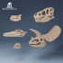 Dinosaur skulls 2 image