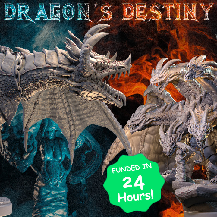 Dragon's Destiny - Personal Use's Cover