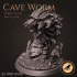 Cave worm image