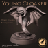 Young cloaker image