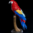Macaw Feather Puzzle image