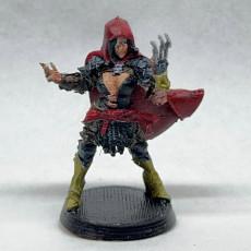 Picture of print of Hero Assassin (2 Versions)