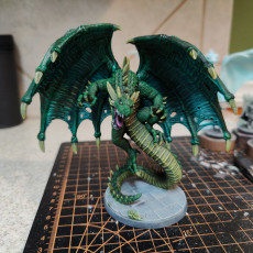Picture of print of Dragon [PRE-SUPPORTED]