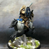 Northmen Huskarls Horse Rider - D (Skutagaard Northmen Saga) print image