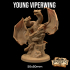 Young Viperwing| PRESUPPORTED | Dragonology 101 image