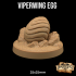 Viperwing Egg  | PRESUPPORTED | Dragonology 101 image