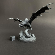 Picture of print of Spitfire Wyverns | PRESUPPORTED | Dragonology 101