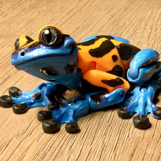 Picture of print of Tree Frog, Articulated fidget, Print-In-Place Body, Snap-Fit Head, Cute Flexi