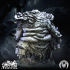 Mycena Mortifera: Collection image