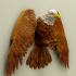 Eagle Coat Hanger image