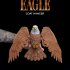 Eagle Coat Hanger image