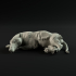 Andrewsarchus resting 1-35 scale pre-supported prehistoric animal image