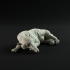 Andrewsarchus resting 1-35 scale pre-supported prehistoric animal image