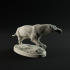 Andrewsarchus walking 1-35 scale pre-supported prehistoric animal image