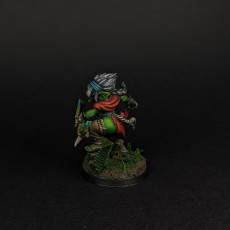 Picture of print of Stick, the Goblin Ranger