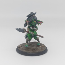 Picture of print of Lvl.1 Goblin