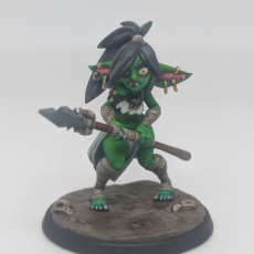Picture of print of Lvl.1 Goblin This print has been uploaded by Chard