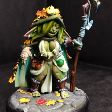 Picture of print of Leaf, the Goblin Druid