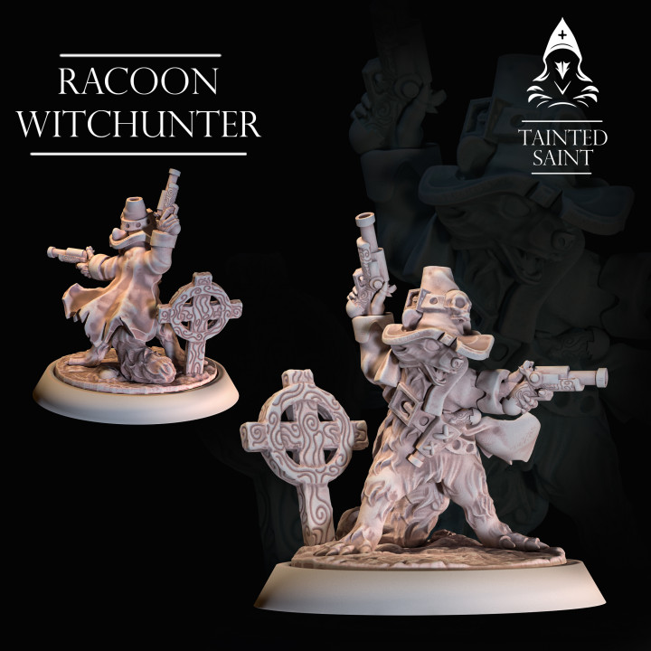 Racoon Witchhunter's Cover