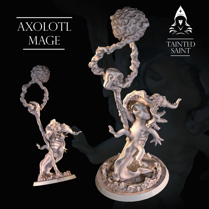 Axolotl Mage's Cover
