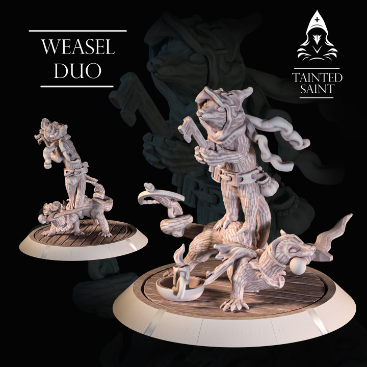Weasel Duo's Cover