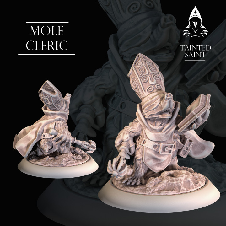 Mole Cleric's Cover