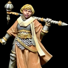Picture of print of Human Female Cleric - RPG Hero Character D&D 5e - Titans of Adventure Set 30