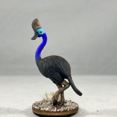 Picture of print of Platywary - Platypus Cassowary Hybrid (Pre-Supported)
